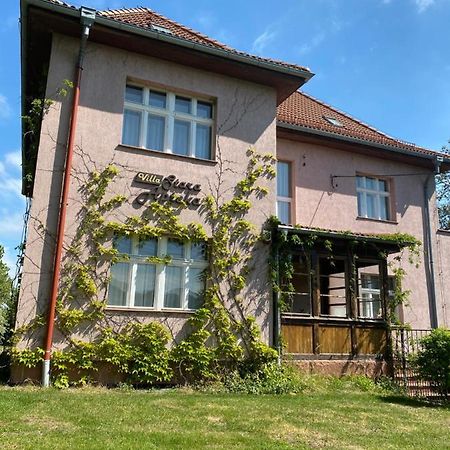 Villa Stara Apteka Srebrna Góra Exterior foto