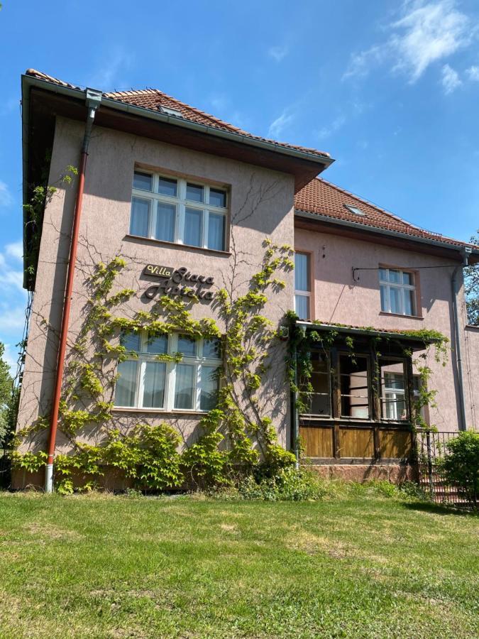Villa Stara Apteka Srebrna Góra Exterior foto